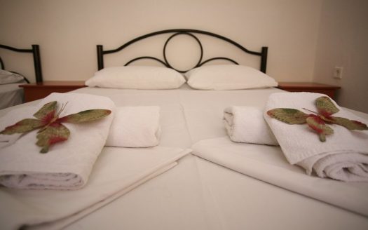 VILA GREGORY – PEFKOHORI