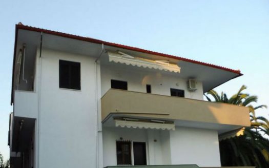 Vila Palm House – Nikiti