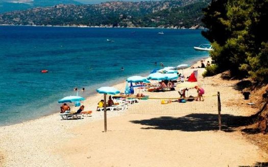 Hotel Elea Village 3* Nikiti