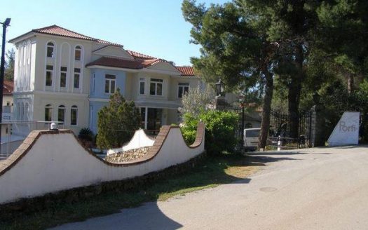 Hotel Porfi Beach 3*+ Nikiti